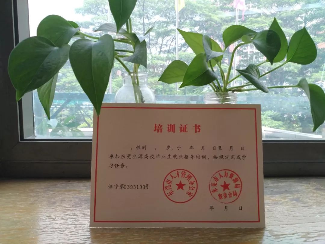 北京理工大学毕业证样本图片