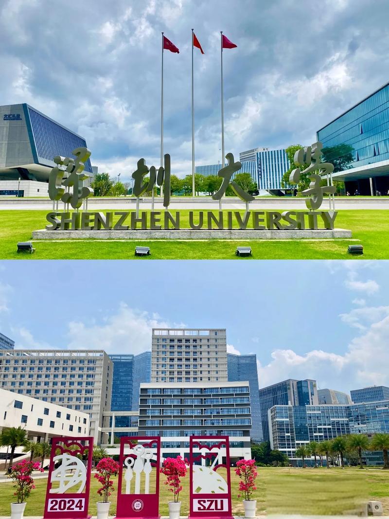 深圳大学总医院